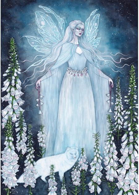 DIGITALIS - Jessica Shaw