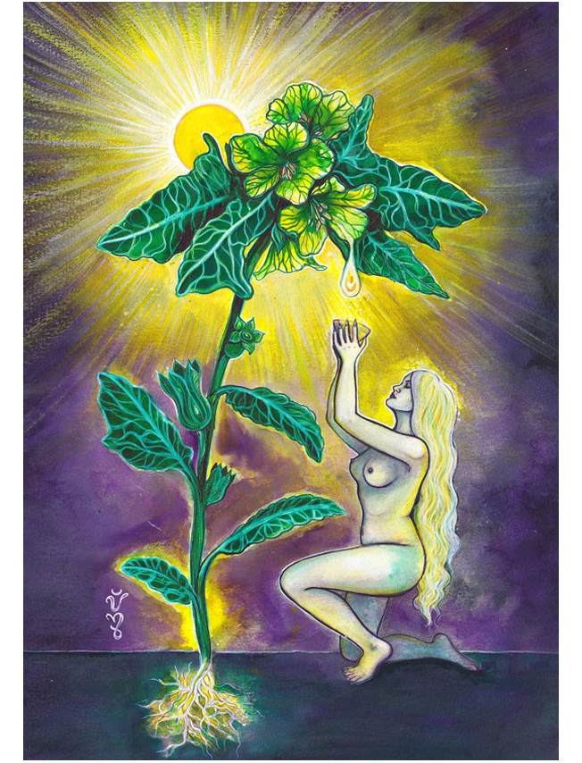 APOLLINARIS - Jessica Shaw