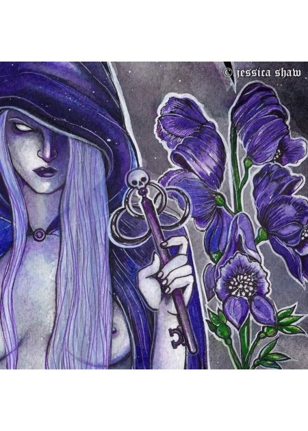 Lady Death - Jessica Shaw 2