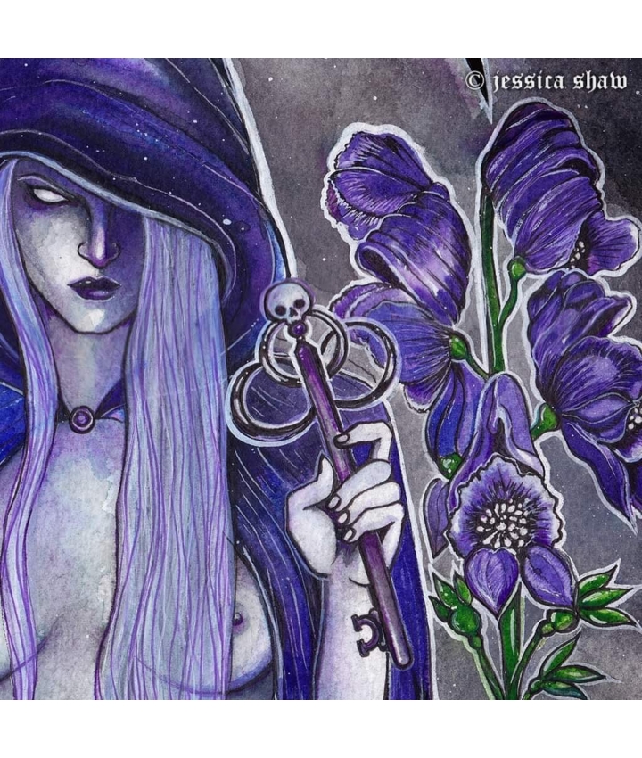 LADY DEATH - Jessica Shaw