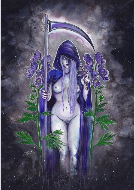 Lady Death - Jessica Shaw