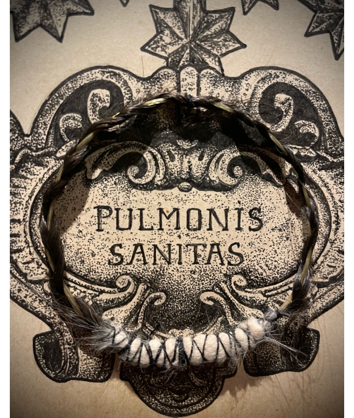 PULMONIS SANITAS - Odona Bones