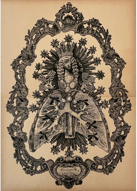 PULMONIS SANITAS - Odona Bones