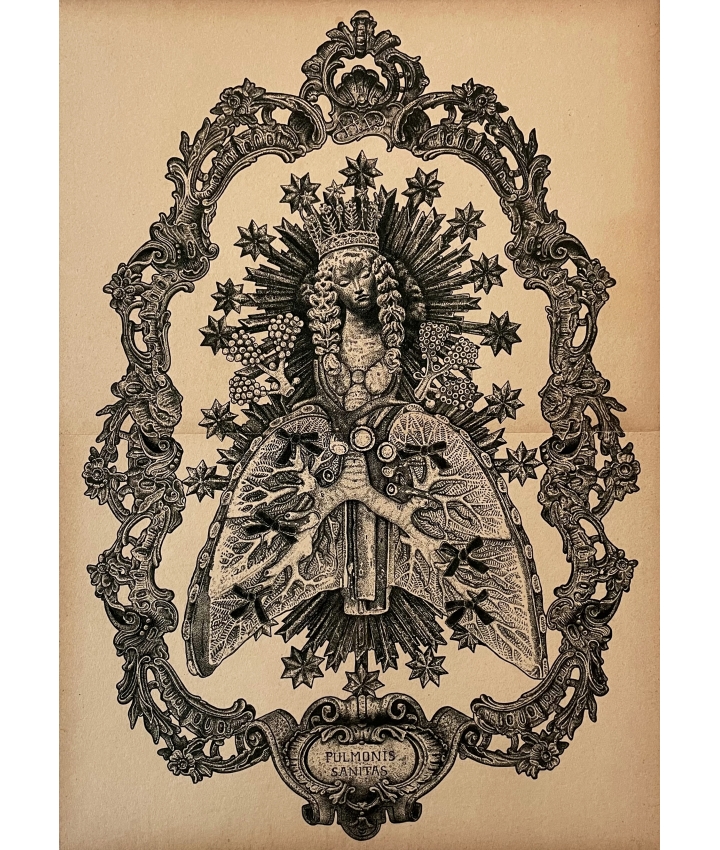 Pulmonis Sanitas - Odona Bones