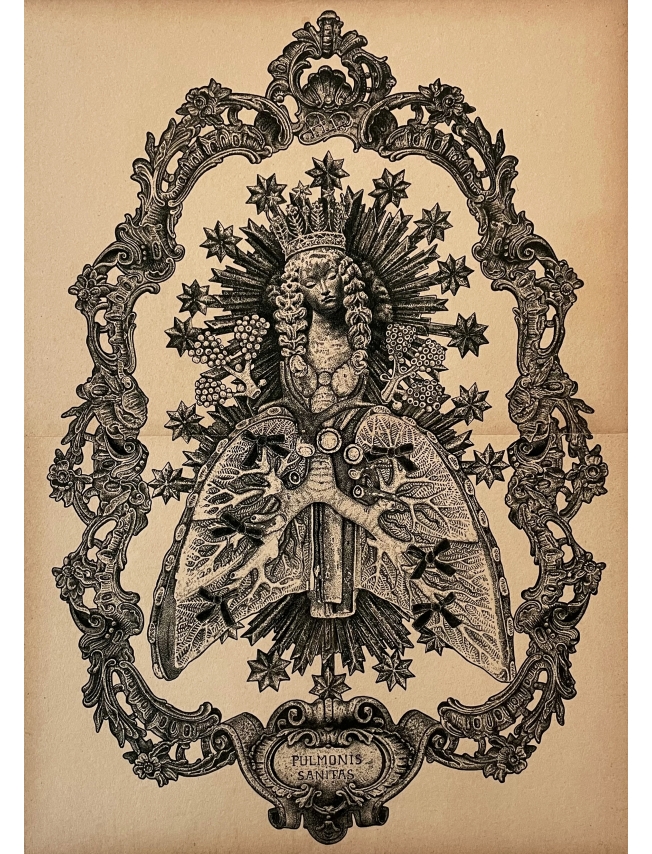 Pulmonis Sanitas - Odona Bones