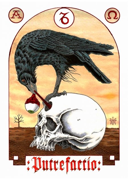 PUTREFACTIO - Martin D.Almoras