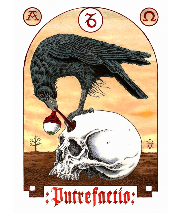 PUTREFACTIO - Martin D.Almoras