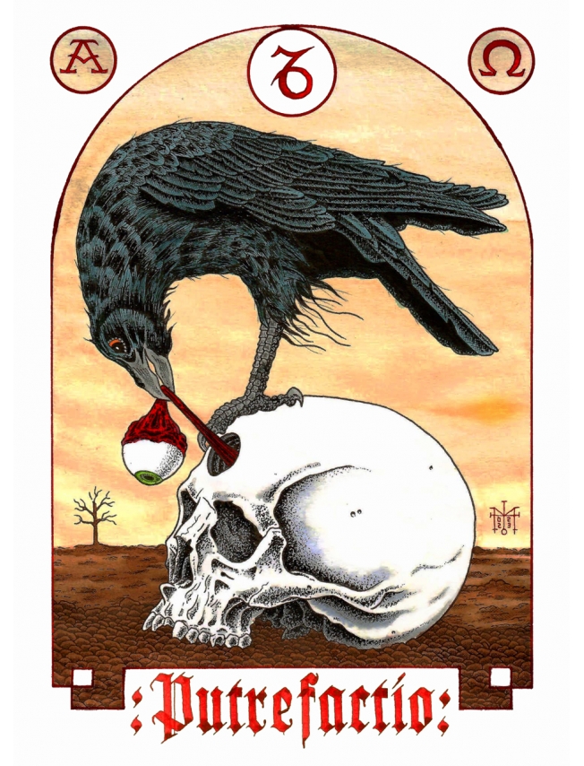 PUTREFACTIO - Martin D.Almoras