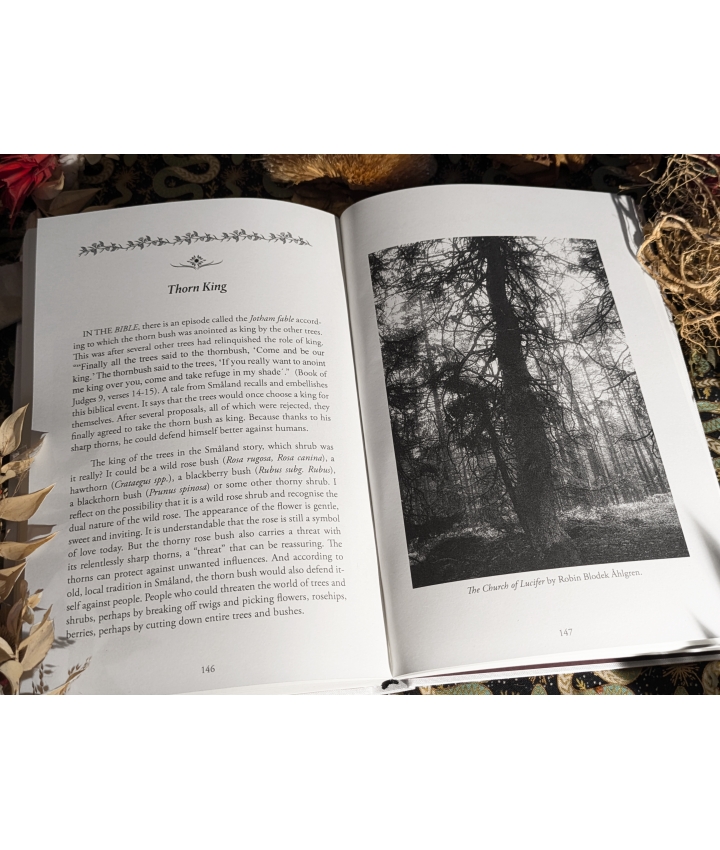 FLOWERS OF BLOOD - Sara Bonadea George FLOWERS OF BLOOD - Sara Bonadea George