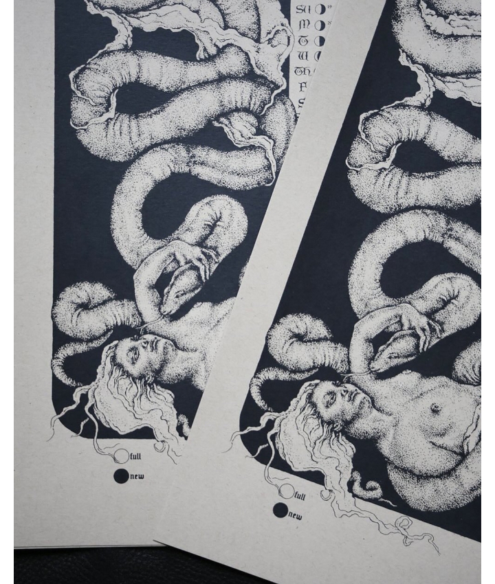 MOON PHASE SNAKES CALENDAR 2025 -...