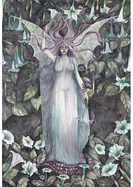 ANIMA CREPUSCULUM - Jessica Shaw