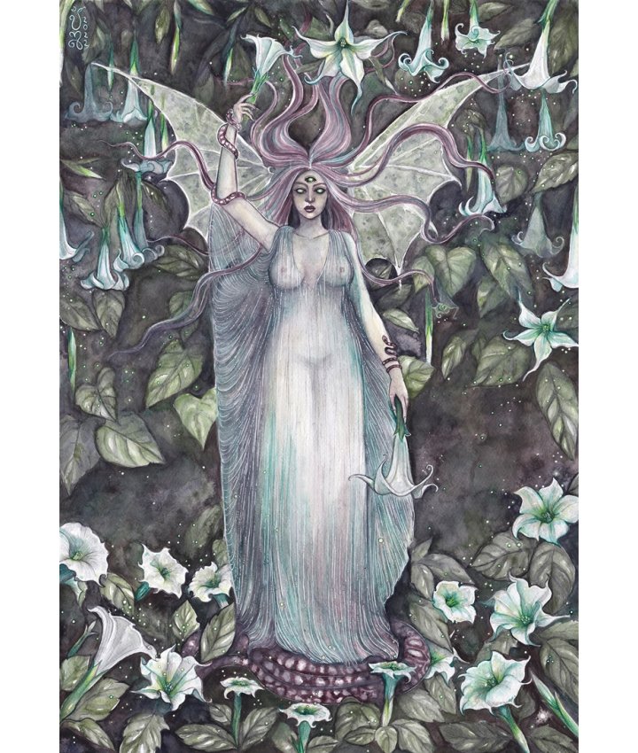 ANIMA CREPUSCULUM - Jessica Shaw