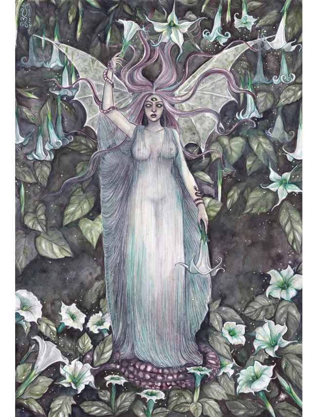 ANIMA CREPUSCULUM - Jessica Shaw