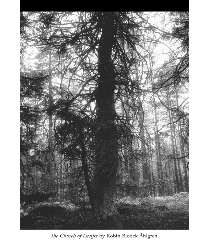 FLOWERS OF BLOOD - Sara Bonadea...