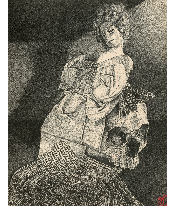 MARQUISE D'OS - Odona Bones