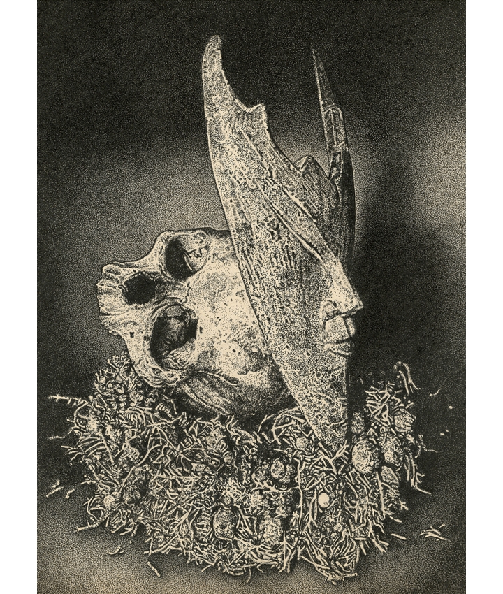 THE SANDMAN - Odona Bones