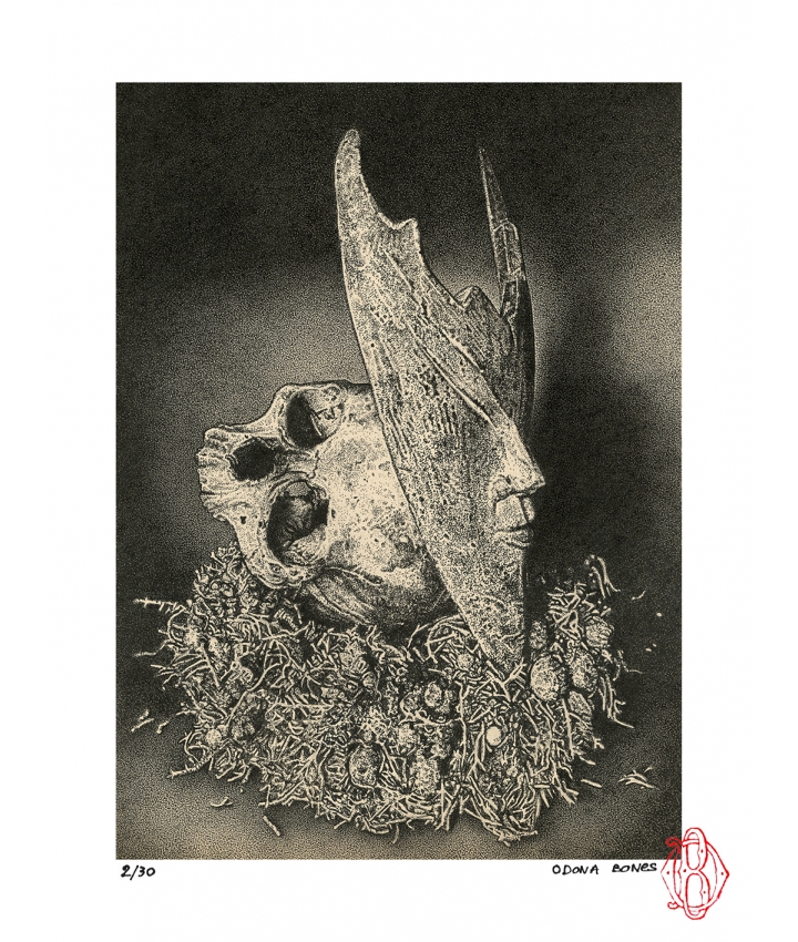 THE SANDMAN - Odona Bones