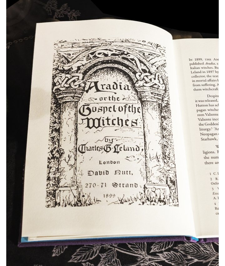 ARADIA'S HIDDEN HAND - A.D. Manns