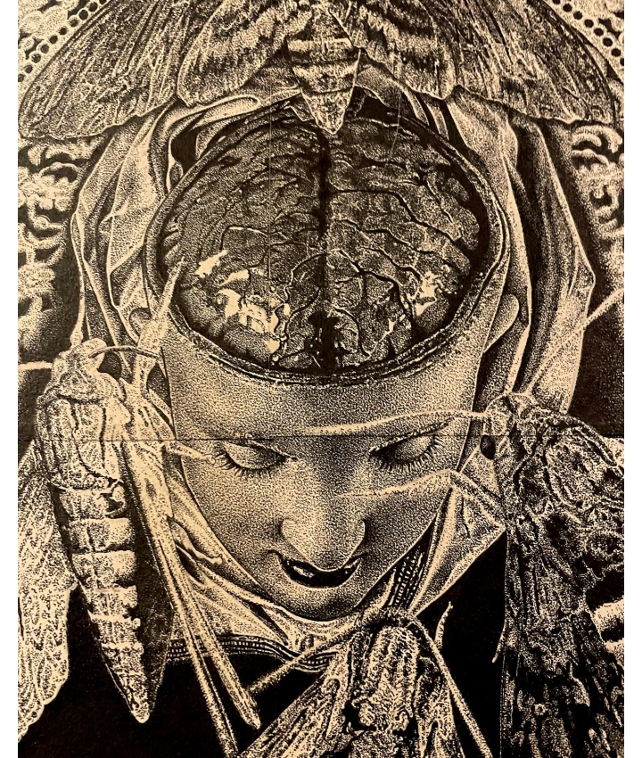 NOTRE DAME DES SPHINX - Odona Bones