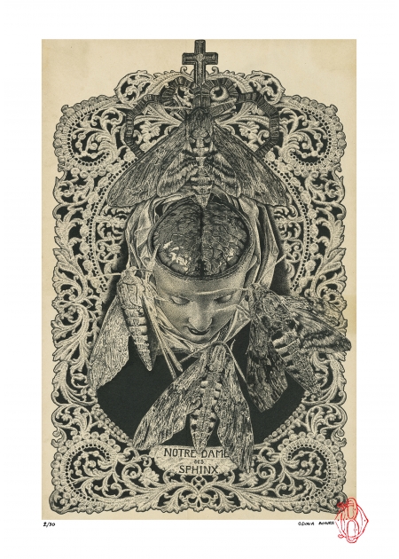 Notre Dame des Sphinx - Odonas Bones 2