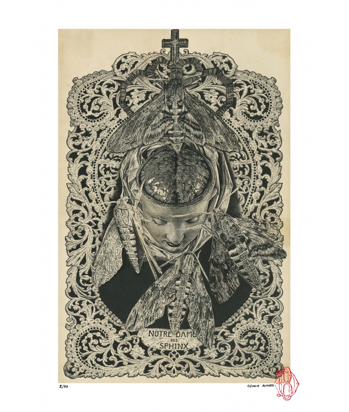 NOTRE DAME DES SPHINX - Odona Bones