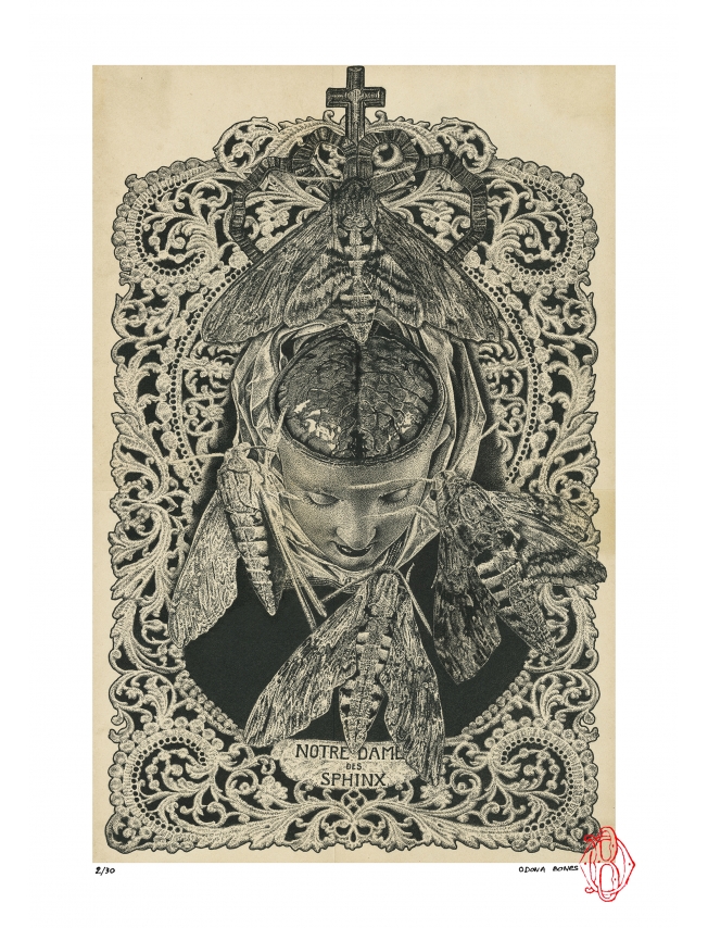 NOTRE DAME DES SPHINX - Odona Bones