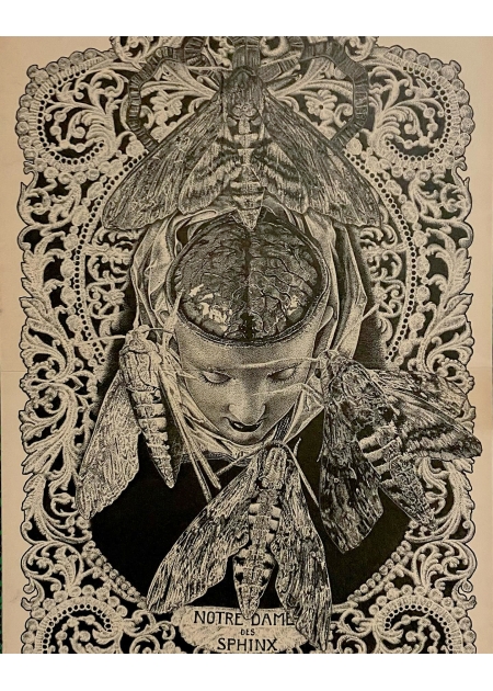 Notre Dame des Sphinx - Odonas Bones