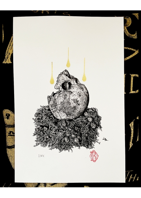 RESTING MOON - Odona Bones - 6