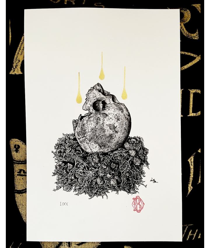 RESTING MOON - Odona Bones - 6