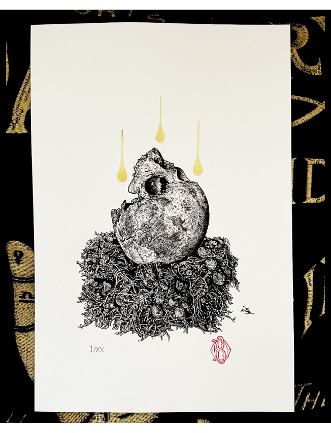 RESTING MOON - Odona Bones - 6