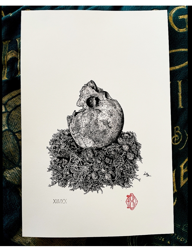 RESTING MOON - Odona Bones - 7