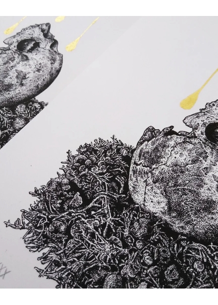 RESTING MOON - Odona Bones - 6 2