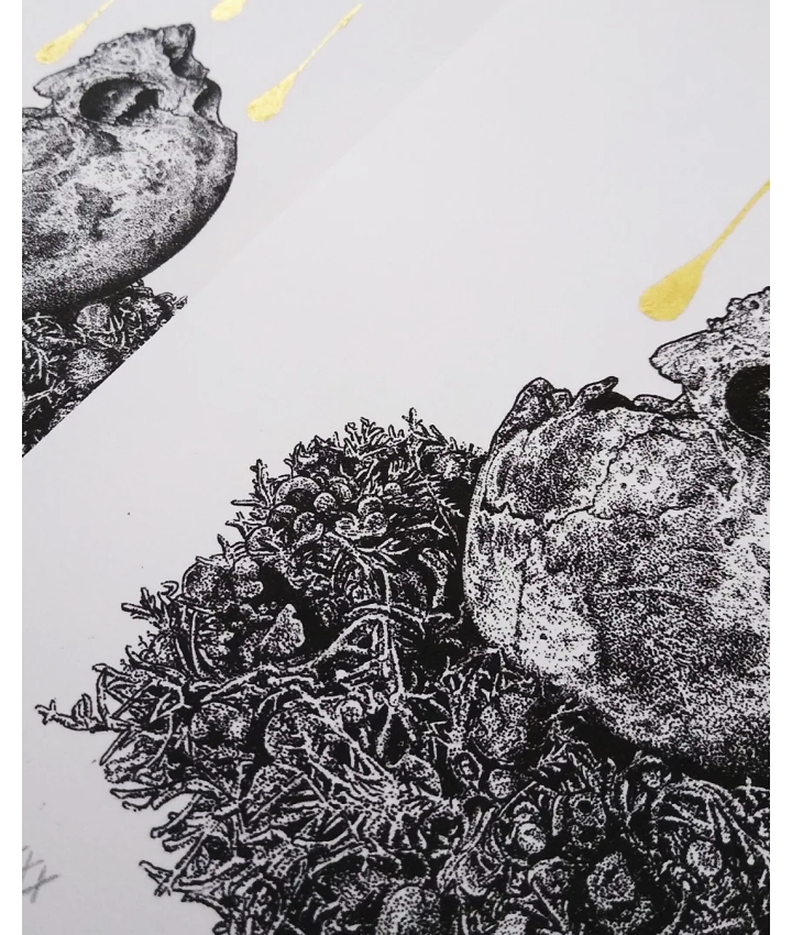 RESTING MOON - Odona Bones - 8