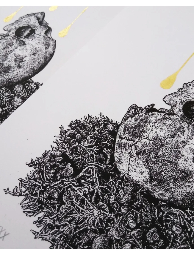 RESTING MOON - Odona Bones - 8