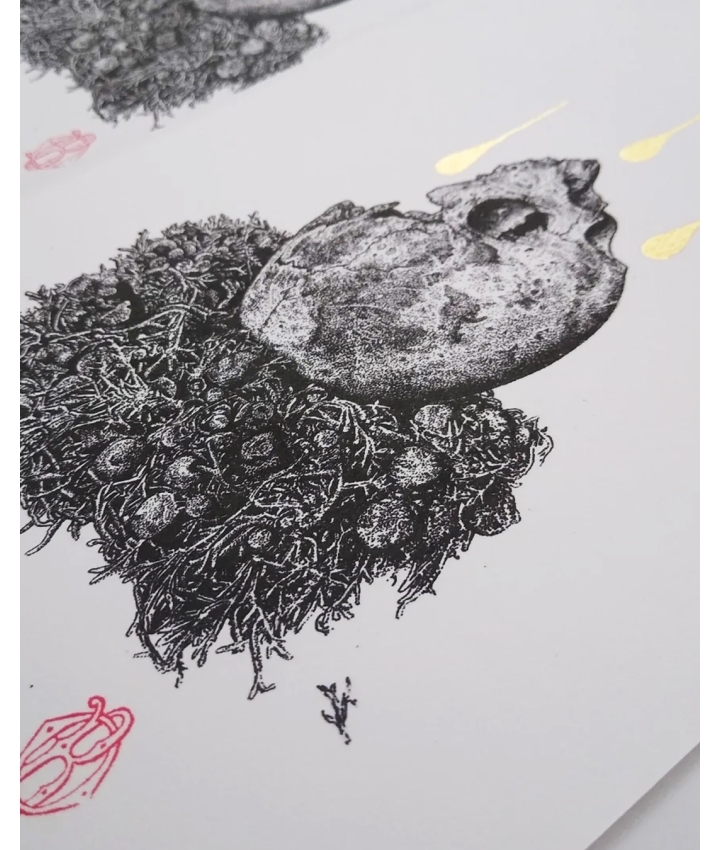 RESTING MOON - Odona Bones - 10