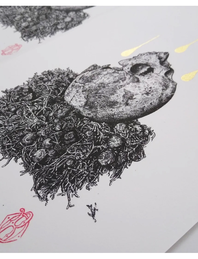 RESTING MOON - Odona Bones - 10