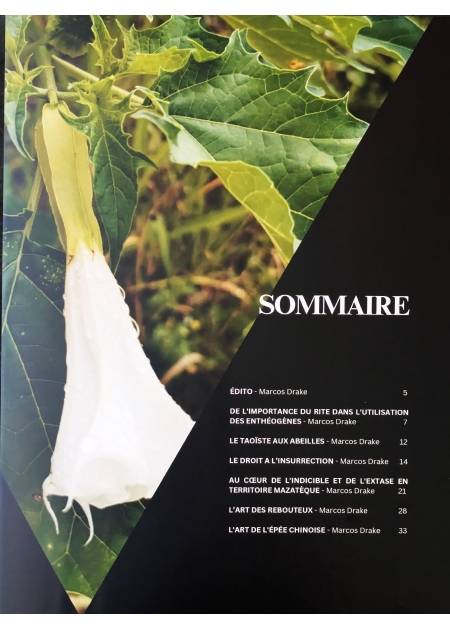 EL CURANDERO - N°01 - 1 2