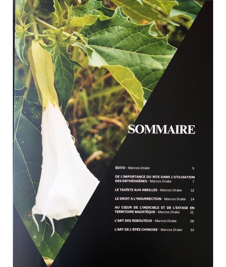 EL CURANDERO - N°01 - 1