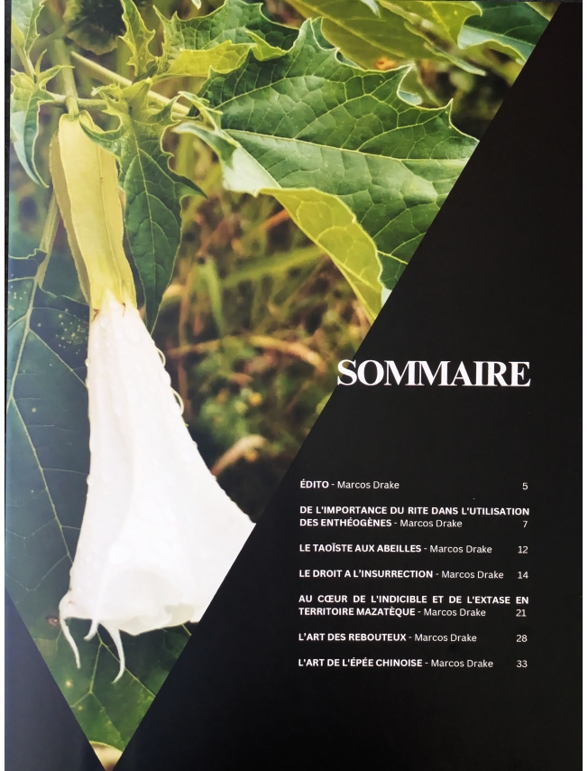 EL CURANDERO - N°01 - 1