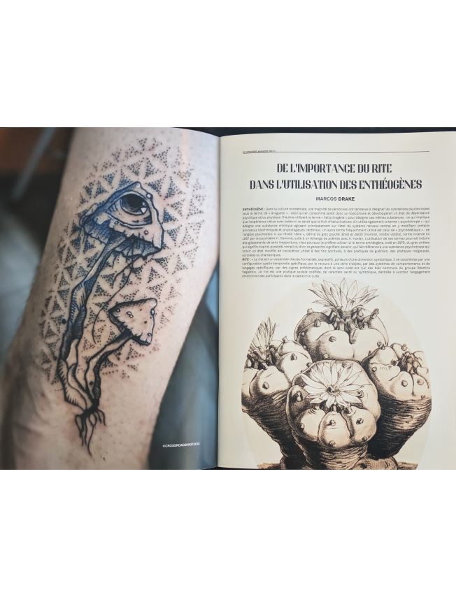 EL CURANDERO - N°01 - 5