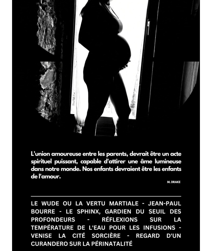 EL CURANDERO - N°02 - 2