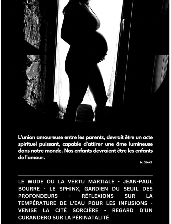 EL CURANDERO - N°02 - 2