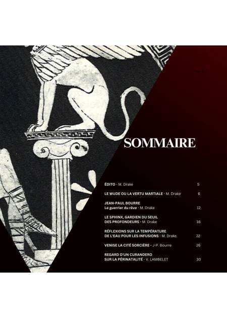 EL CURANDERO - N°02 - 3 2