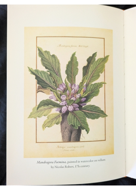 THE MYSTIC MANDRAKE - C.J.S. Thompson - 1 2