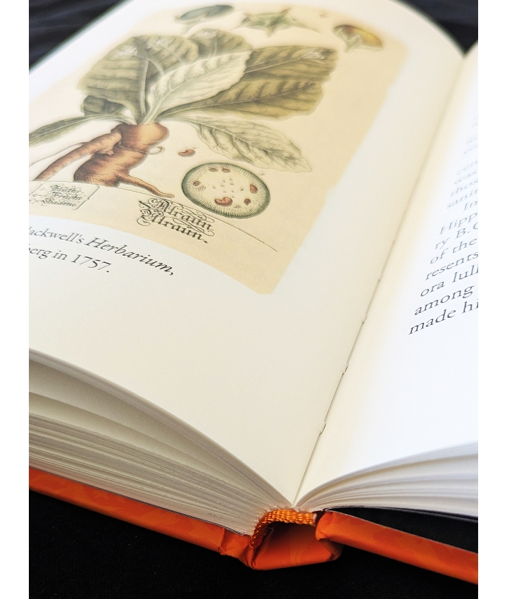 THE MYSTIC MANDRAKE - C.J.S. Thompson - 3