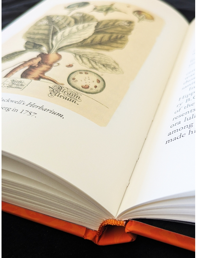 THE MYSTIC MANDRAKE - C.J.S. Thompson - 3