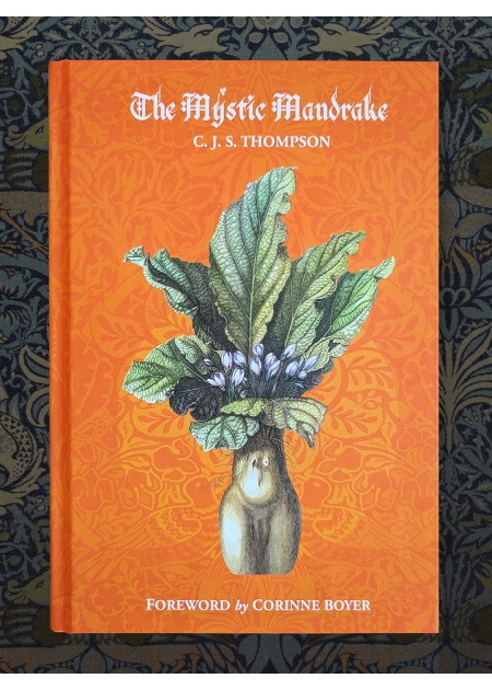 THE MYSTIC MANDRAKE - C.J.S. Thompson - 1