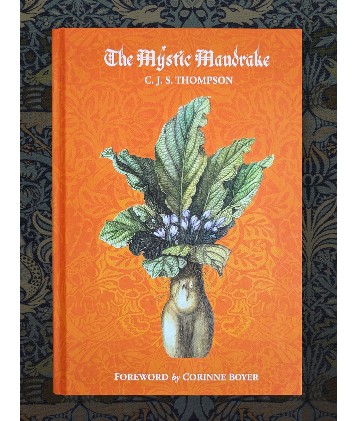THE MYSTIC MANDRAKE - C.J.S. Thompson - 1