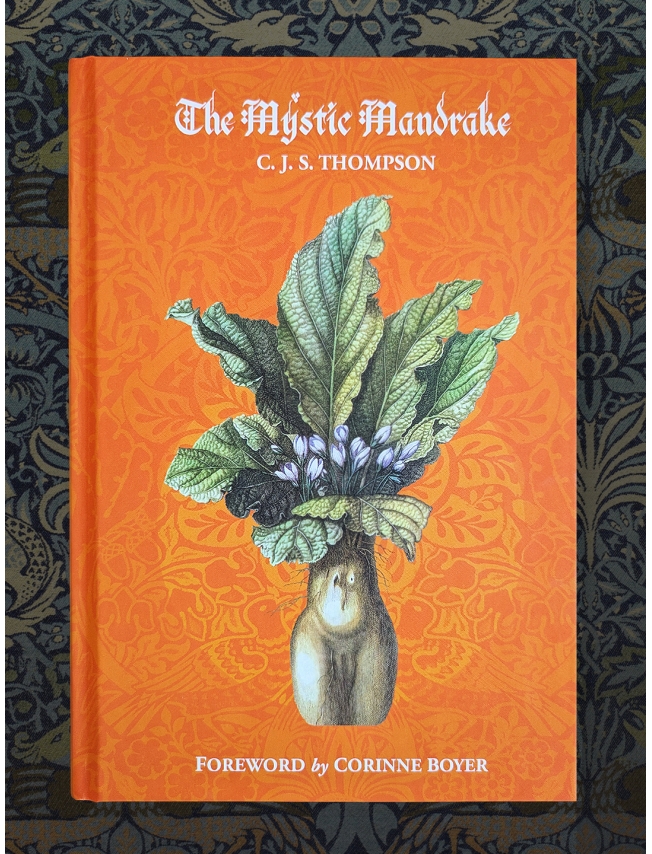 THE MYSTIC MANDRAKE - C.J.S. Thompson - 1