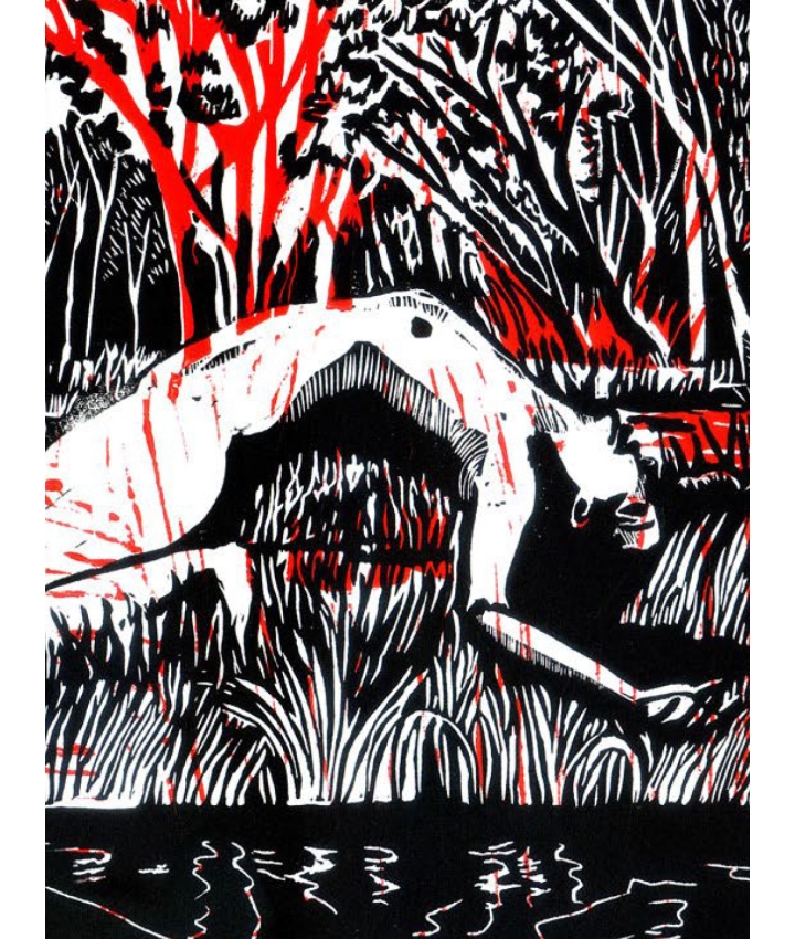 INVOCATION VI - Rosa Arango - 3